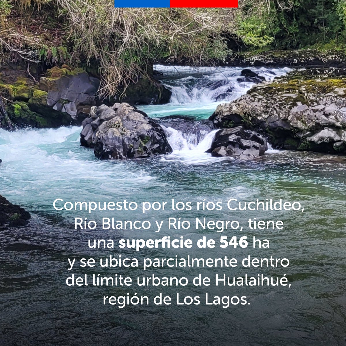 MMAChile's tweet image. ¡Buenas noticias!  Ayer declaramos un nuevo Humedal Urbano en #LosLagos, comuna de Hualaihué, hasta donde llegó la ministra @Maisa_Rojas  para celebrar el  #DíaMundialdelosHumedales🌿y esta declaratoria, que se suma a los 25 ecosistemas sistemas ya protegidos en la región.