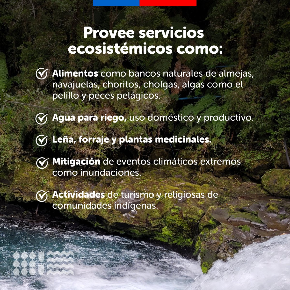 MMAChile's tweet image. ¡Buenas noticias!  Ayer declaramos un nuevo Humedal Urbano en #LosLagos, comuna de Hualaihué, hasta donde llegó la ministra @Maisa_Rojas  para celebrar el  #DíaMundialdelosHumedales🌿y esta declaratoria, que se suma a los 25 ecosistemas sistemas ya protegidos en la región.