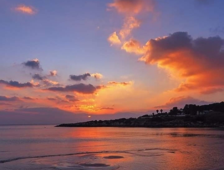 Las cosas hermosas no se
puede planear, viene inesperadamente y te sorprende
y cambia tu vida.