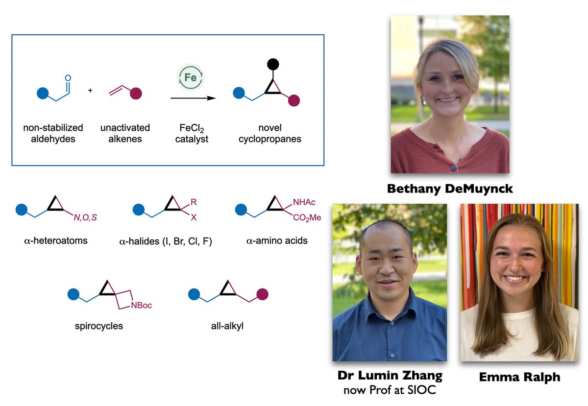 nagib lab tweet media