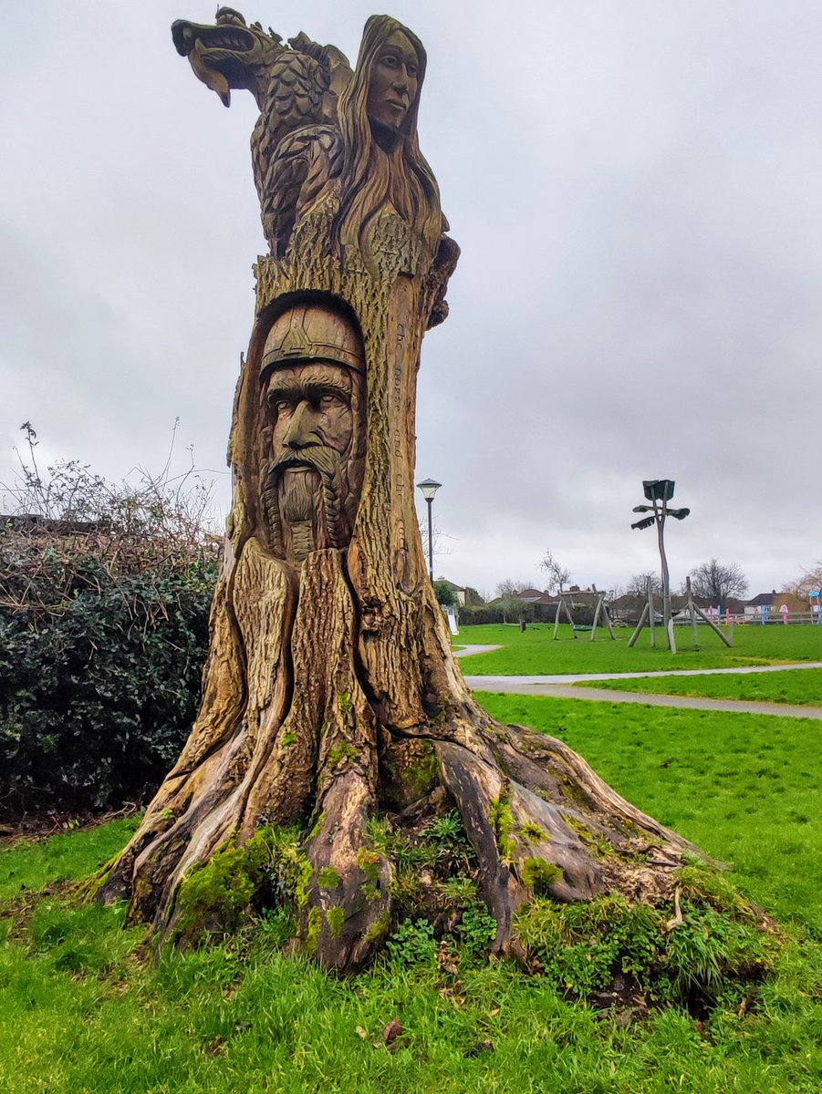 Mullingar town park #trees #treepeople #woodsculpture #art