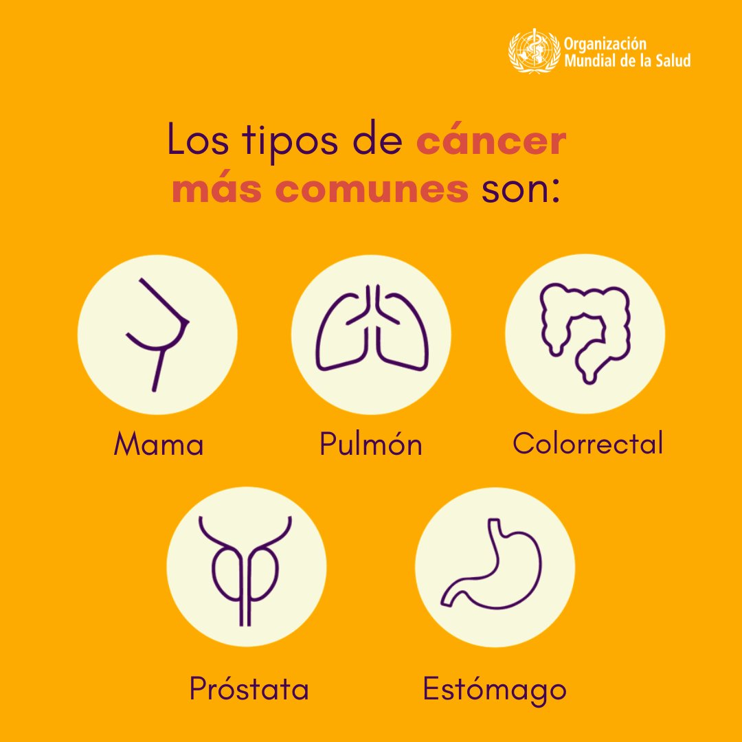 1 de cada 9 hombres y 1 de cada 12 mujeres mueren de cáncer.

Los cinco tipos más comunes son el de pulmón, mama, colon y estómago.

En este #DíaMundialContraElCáncer, la <a href="/WHO/">World Health Organization (WHO)</a> comparte datos y consejos clave para reducir el riesgo.  who.int/es/news-room/f…
