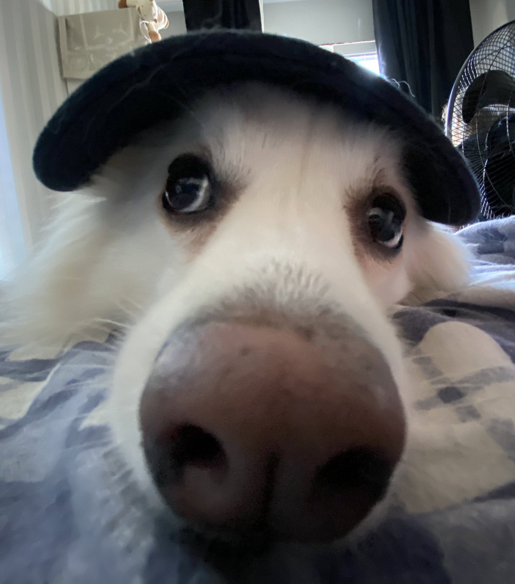 jacoldoer tweet media