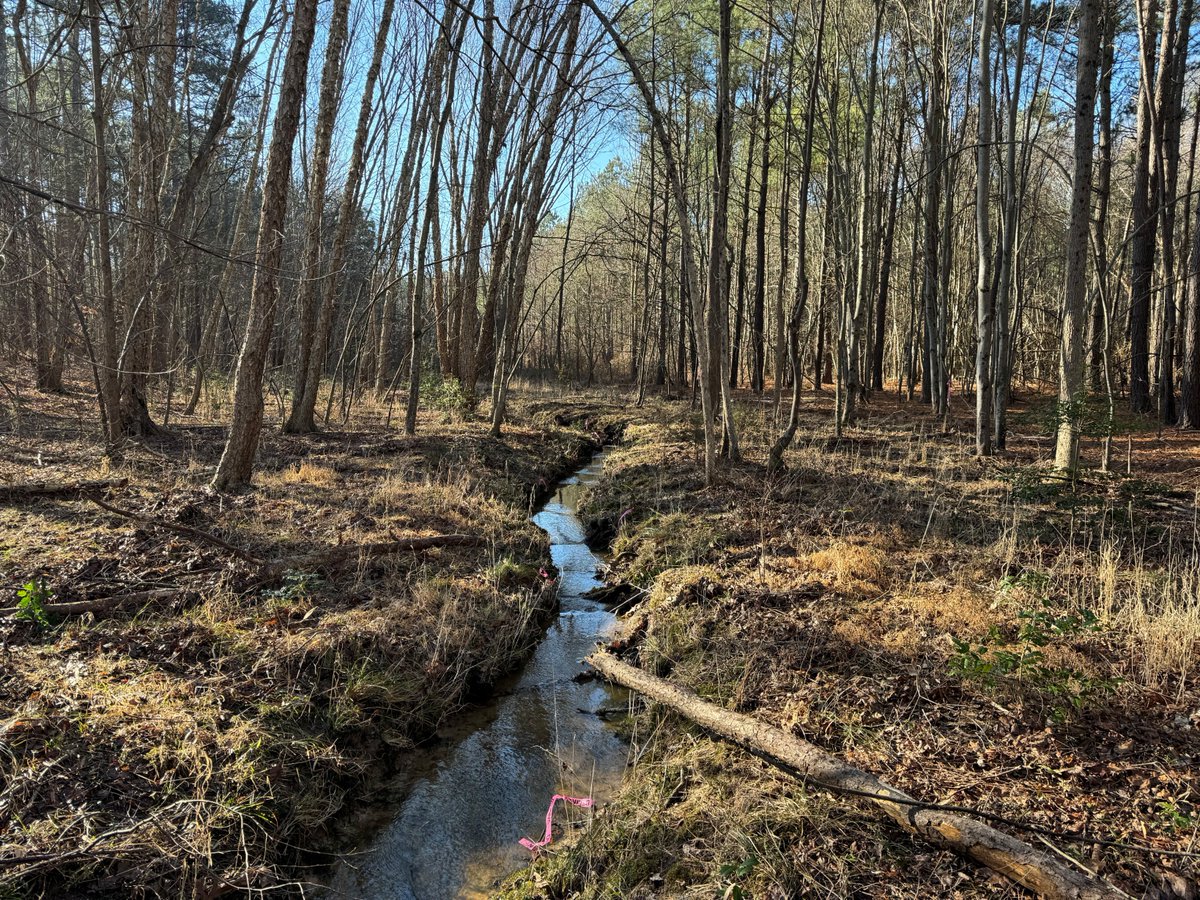 SFGiantsFanInVA's tweet photo. Our team was busy working along an unnamed tributary and wetland system to Polecat Creek (York River Watershed) in Caroline County yesterday. This will be a multi-day effort on a 200 acre property. #wetlands #WetlandsDay https://t.co/TXYrhGFRpX