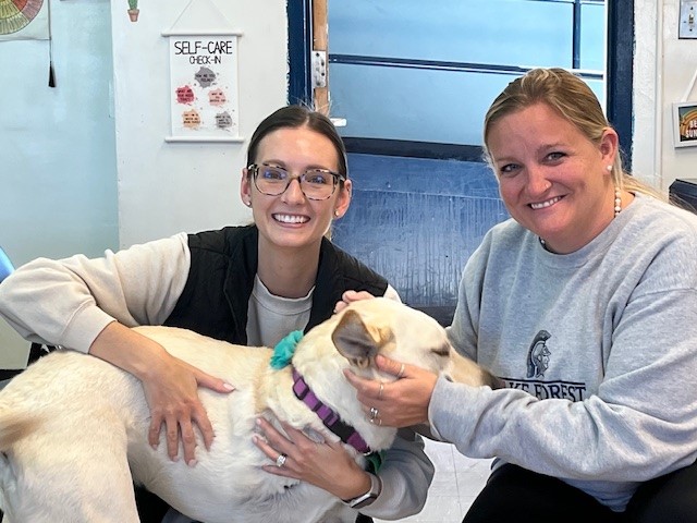 Happy National School Counseling Week! School counselors provide support for teachers, too! One example: They coordinate PAWS for People therapy dog, Ari, for teachers at <a href="/LFSDSpartans/">Lake Forest School District, Felton, Delaware</a> Chipman Middle. Ari gives cuddles and helps teachers support self-care. <a href="/ASCAtweets/">ASCA</a> <a href="/mydsca1/">Delaware School Counselor Association</a>