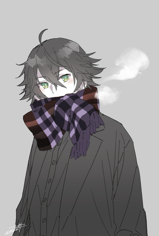 scarf green eyes solo 1boy male focus simple background ahoge  illustration images