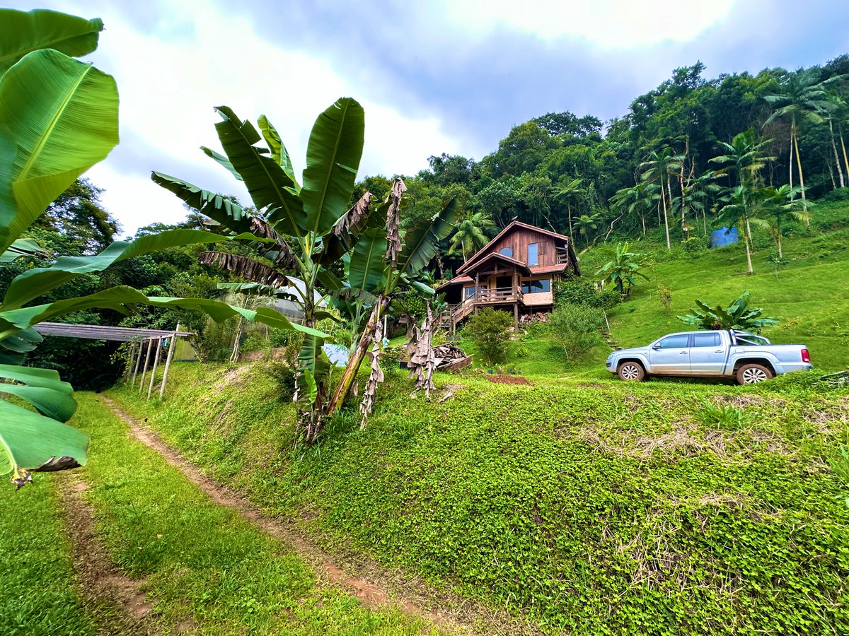 My name is Simon Goddek, and I live in the Brazilian jungle. Here’s how I stay extremely healthy, spending way less than you do on your health insurance:

1. Drinking spring water from glass only.
2. Growing my own vegetables.
3. Eating eggs from my own happy chickens.
4. Being