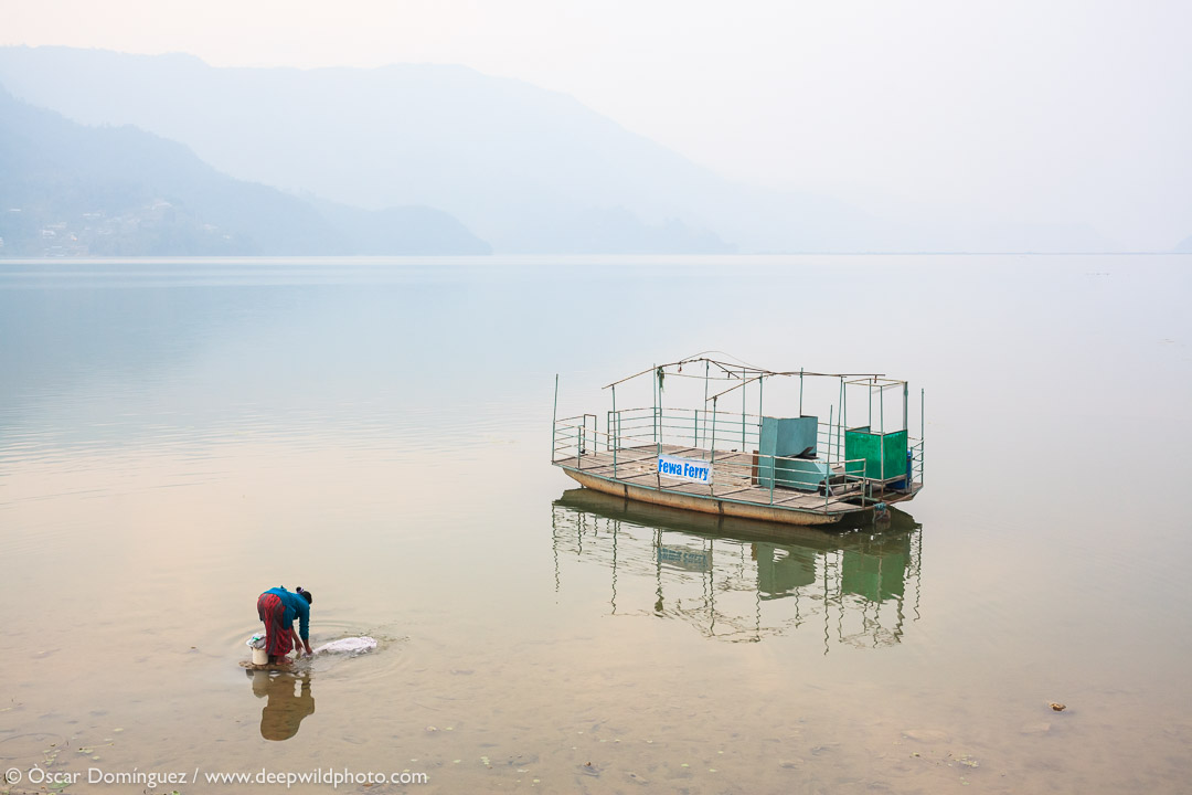 High-altitude wetlands are particularly vulnerable and plants, animals and people depend on them. #WorldWetlansDay #Himalayas