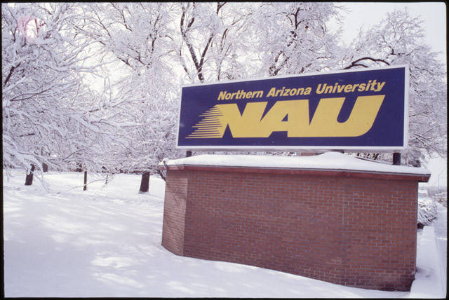 NAUAlumni's tweet photo. #FlashbackFriday to the @NAU logo in the 90s 😎 https://t.co/KmddcvHa28
