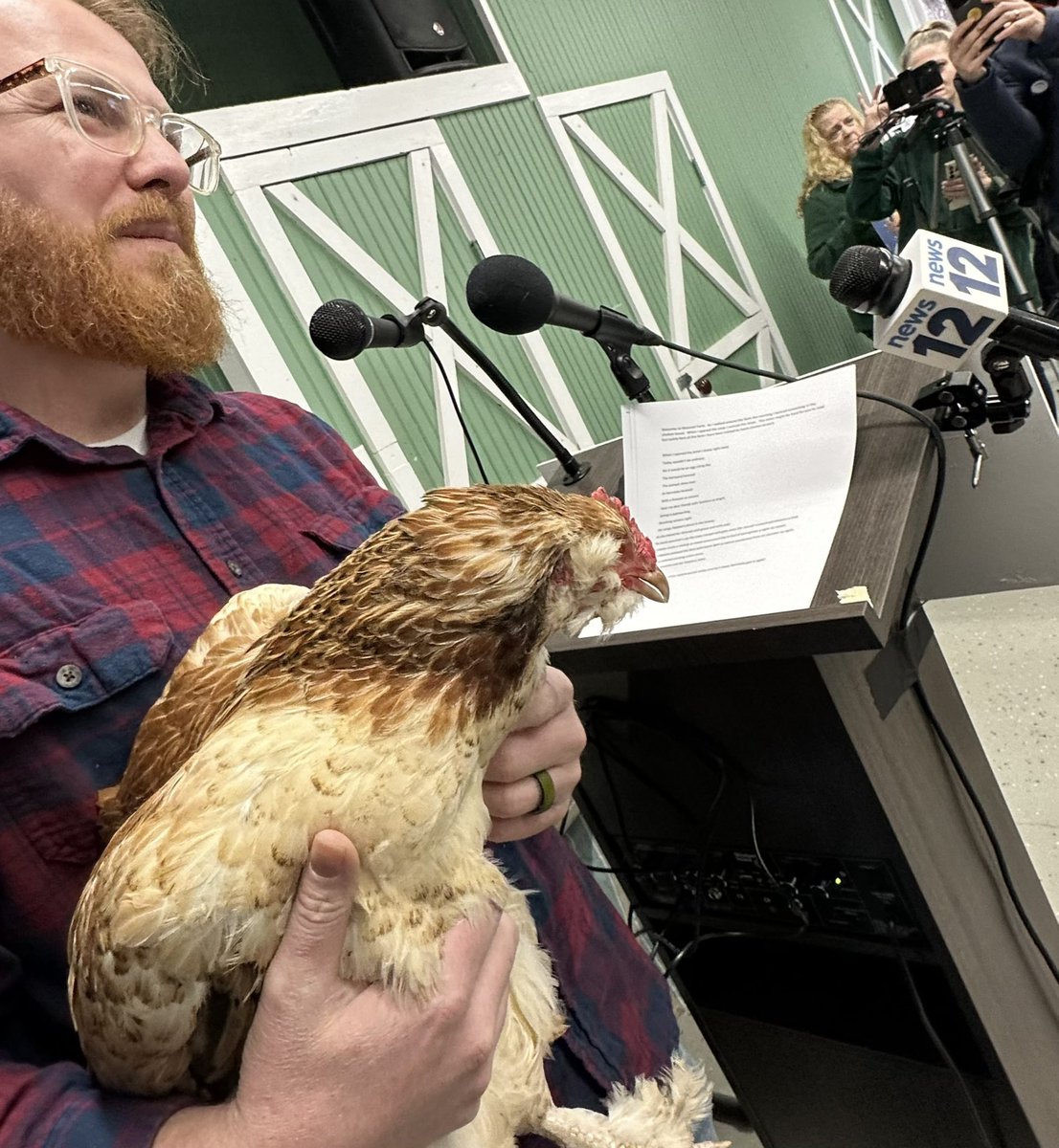 LegislatorGashi's tweet photo. BREAKING NEWS! 
Clucksatony Henrietta predicts an early spring at Muscoot Farm. Thank you @News12WC for documenting this important event. I think we can all use some good weather ahead. 

#GroundhogDay @westchesterBOL https://t.co/FOJjRzhNUA