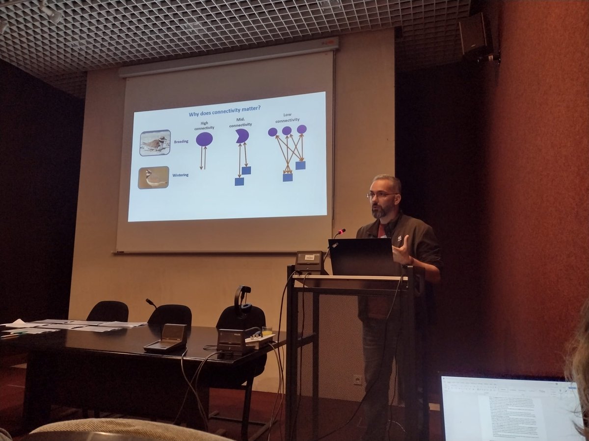 On Jan 31, at Tejo Estuary Natural Reserve, the Black-tailed Godwit expert group of the AEWA gathered for a crucial meeting. José Alves from CESAM/DBio presented 'How the main conservation challenge in Portugal may resonate across the flyway. +info: bit.ly/42oRoaW