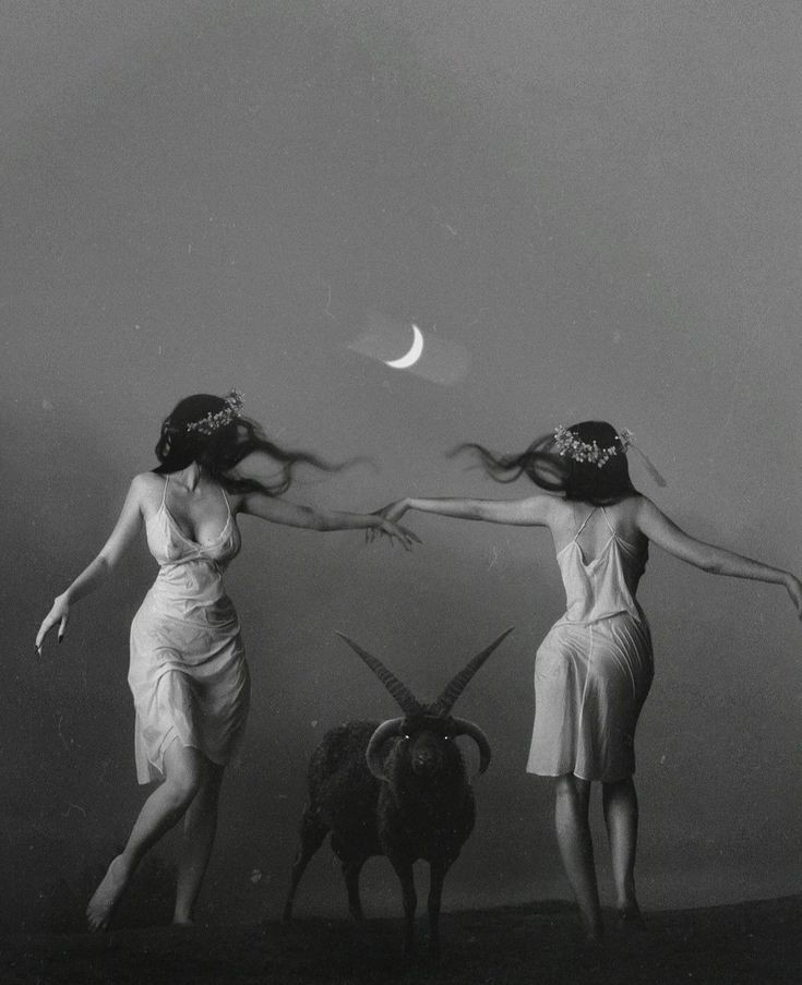 EstherMagar's tweet image. Cuéntame qué historia te inspira esta imagen en un tuit (© Gina Lacob). #micromagar