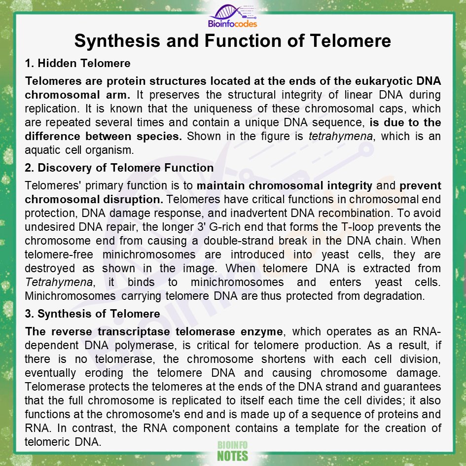 New #bioinfonotes about 'Synthesis and Function of Telomere' has been published!