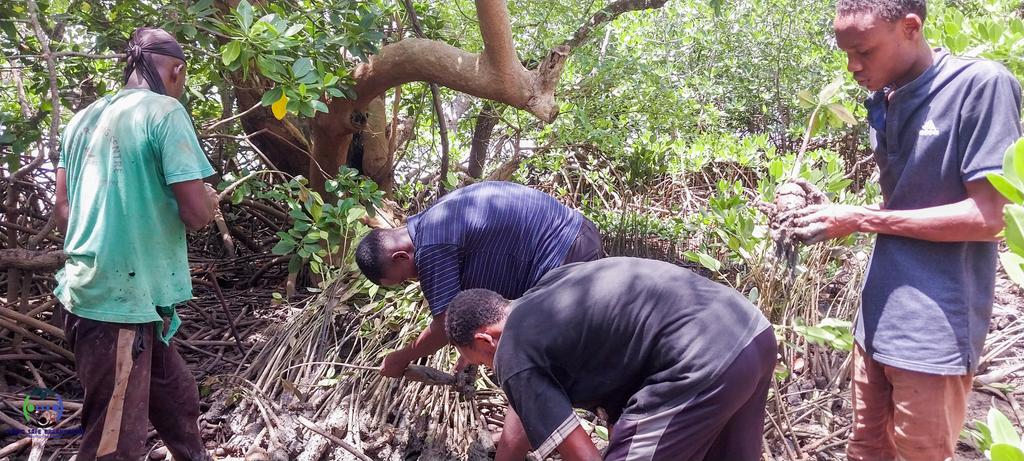 empowerme_i's tweet photo. Planting mangrove trees is crucial for climate justice on World Wetland Day as mangroves play a vital role in carbon sequestration, protecting coastal communities from climate-related events, and preserving biodiversity. #WorldWetlandsDay2024 #WorldWetlandDay #ImpactingCommunity https://t.co/KUxciXpDE8