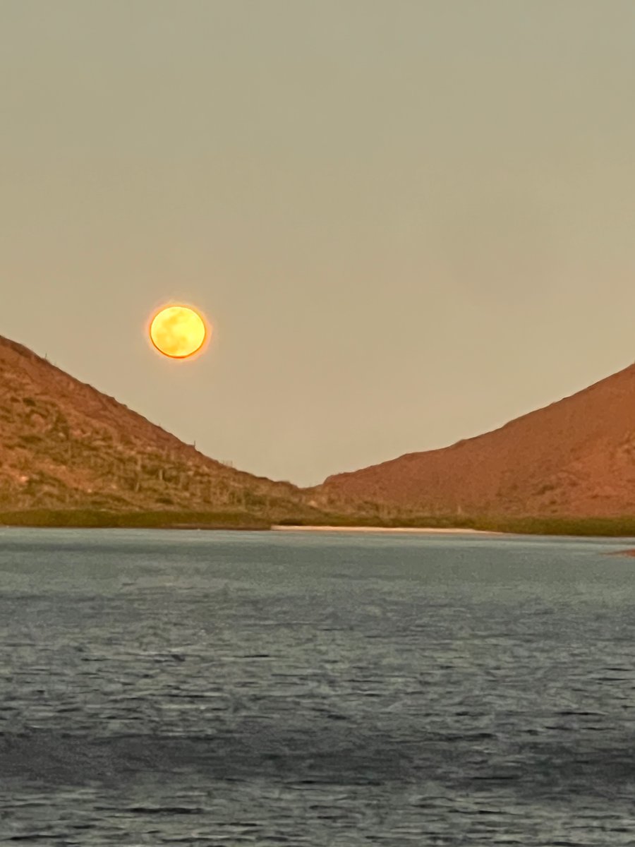 TheWesternFlyer's tweet photo. Sail away with our Executive Director Sherry Flumerfelt as she follows in the footsteps of Steinbeck and Ricketts's 1940 expedition—and looks ahead to the Western Flyer's 2025 return. https://t.co/asTV4ckhzq 
#WesternFlyer #SeaofCortez Steinbeck #EdRicketts #StirCuriosity https://t.co/ECsivh0mZ1