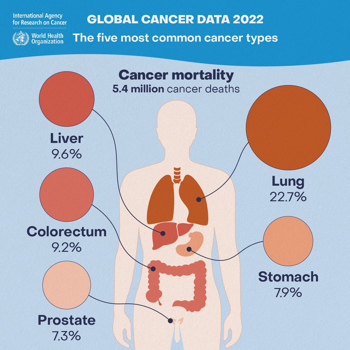 Global Cancer Observatory (GCO) tweet media