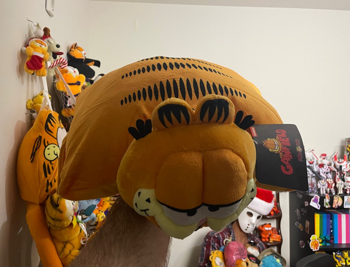 Q_Review's tweet photo. He's a pillow... He's a pet... https://t.co/4r6EdWbwPS