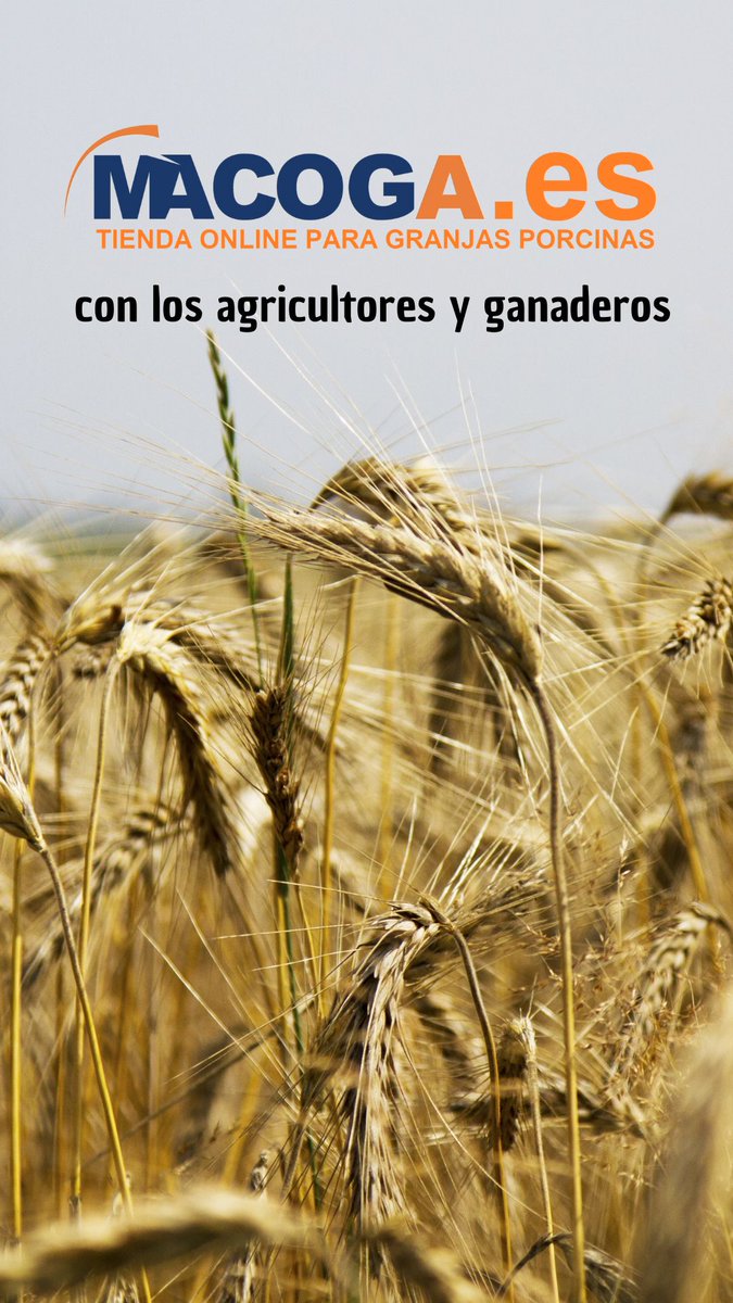 Macoga's tweet photo. Siempre a vuestro lado!!! https://t.co/1MMxN1hAMB