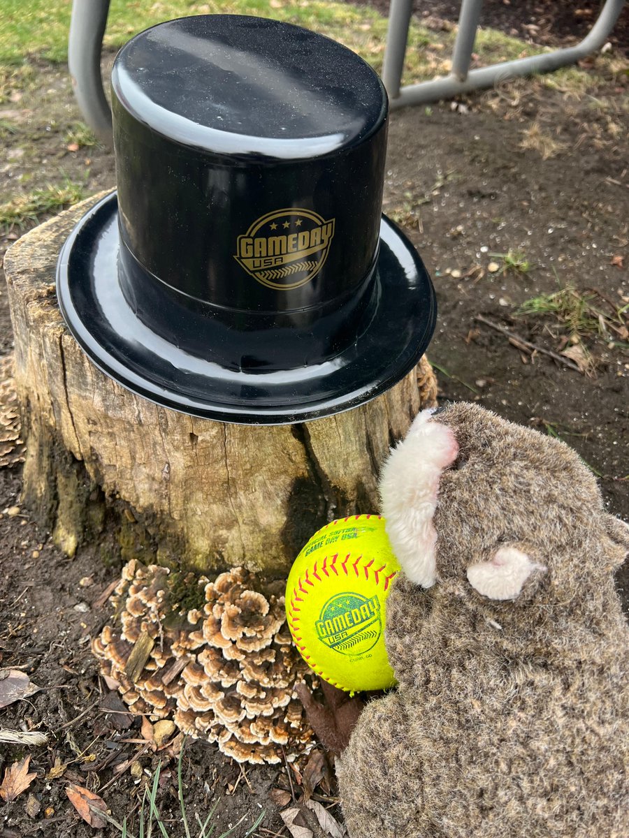Grounder the Game Day USA groundhog did NOT see his shadow this morning, so spring softball weather is coming soon!  

#GameDayUSA🥎 #GroundhogDay