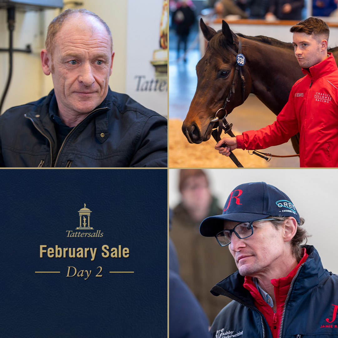 Tattersalls1766's tweet photo. Clearpoint was the top priced horse on the second and final day of the #TattsFebruary Sale when selling for 75,000gns, with solid trade continuing as horses in training took centre stage.

Full report 👇