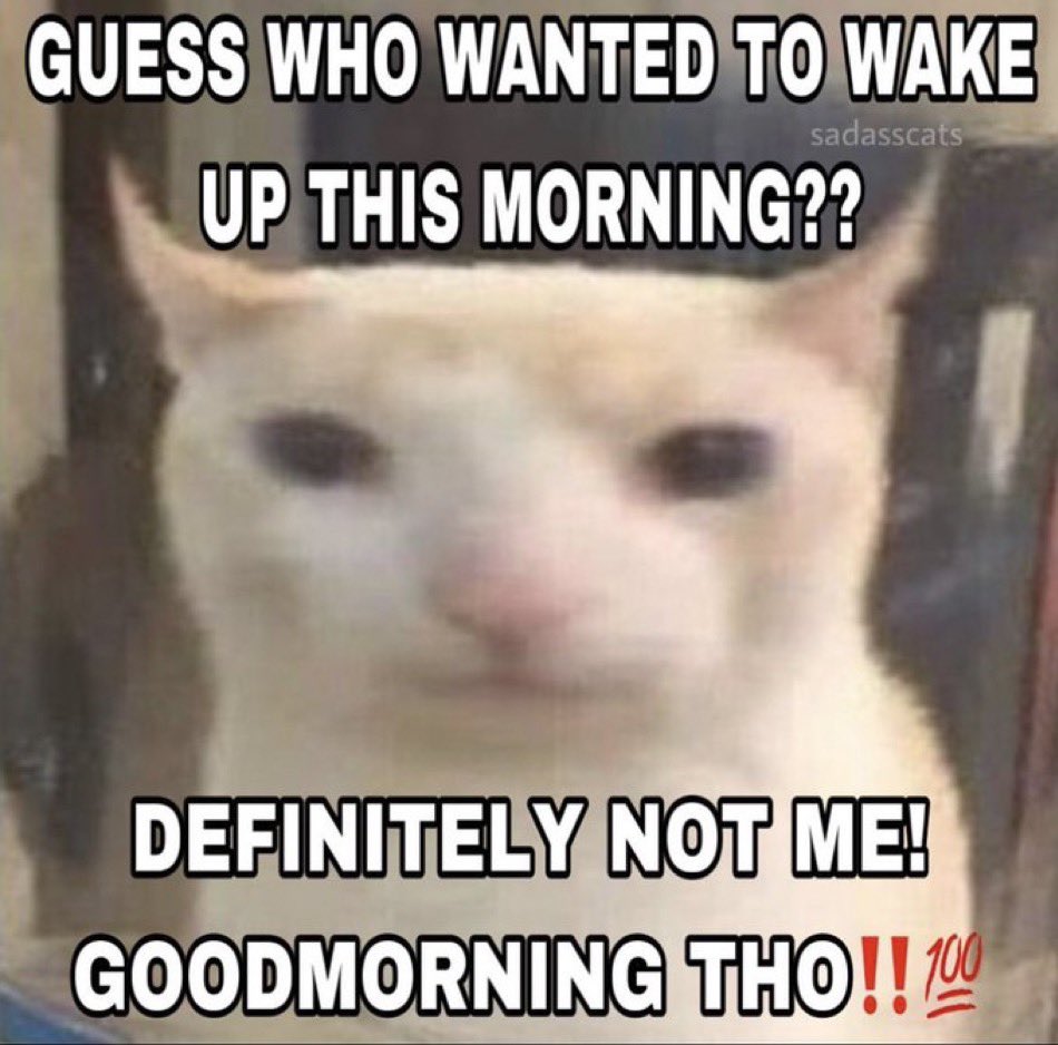 AplacaJones's tweet photo. @RespectfulMemes https://t.co/bQppzP2Ok1