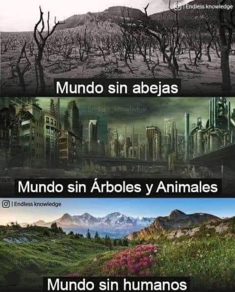 rogeliomtz75's tweet photo. Tan cierto...! https://t.co/gFh2VxMZiu