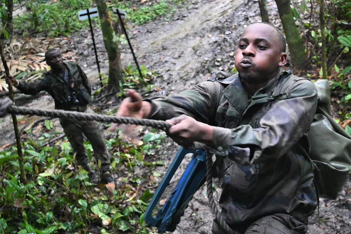 DLIAG_Officiel's tweet photo. 2⃣9⃣/0⃣1⃣ au 0⃣2⃣/0⃣2⃣ Stage en forêt équatoriale #CECFoGa pour 5⃣2⃣ militaires de 1⃣0⃣ pays africains 🇬🇦🇹🇬🇨🇲🇨🇬🇨🇩🇨🇮🇬🇳🇹🇩🇧🇯🇲🇬 formés au #Gabon 🇬🇦 à @eafdl2022 + #EASSML @CoopSecuDefense
✅Pistes, vie en forêt...#Cohesion
✅Appui des #EFG aux #ENVR 🇫🇷🤝🇬🇦
@EtatMajorFR
@Franceaugabon https://t.co/5u5ECGELJ9