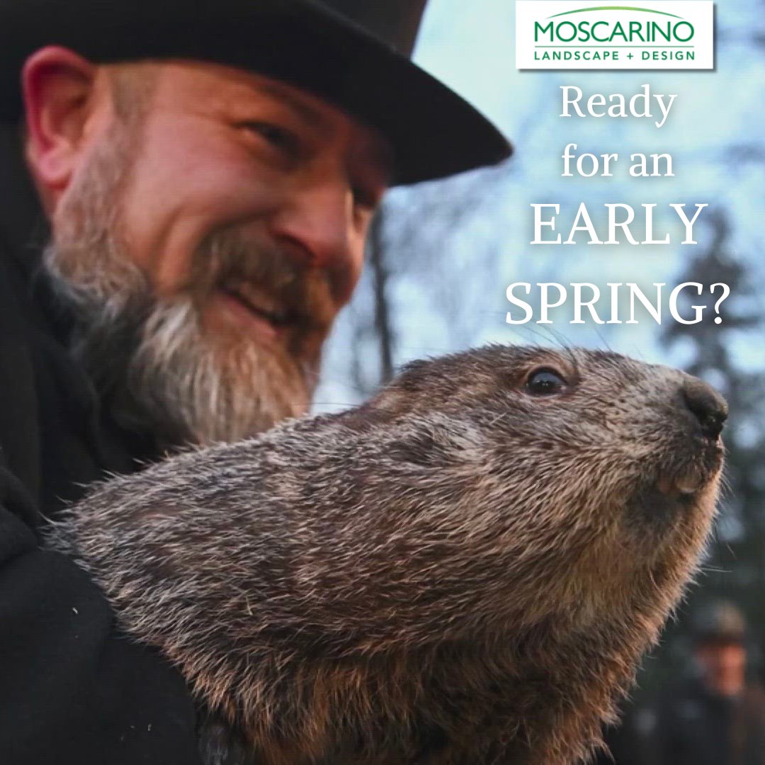 It's official, spring is coming early! 🌷

Celebrate Groundhog Day and this year's early spring by getting started on your outdoor living paradise plans! There's still room for new projects on the Moscarino schedule so visit createmylandscape.com and start your consultation.