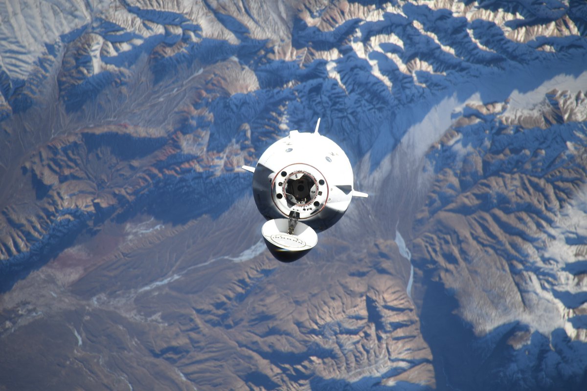 zack ackerman tweet media