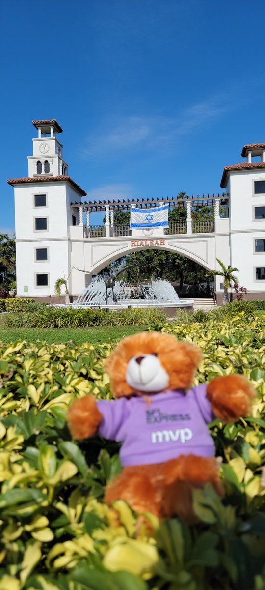 Hialeah landed Top District in SFL for the month of December, doing some sightseeing with our traveling trophy bear Bossito before it travels to another district, or will there be a repeat 😎 🤔