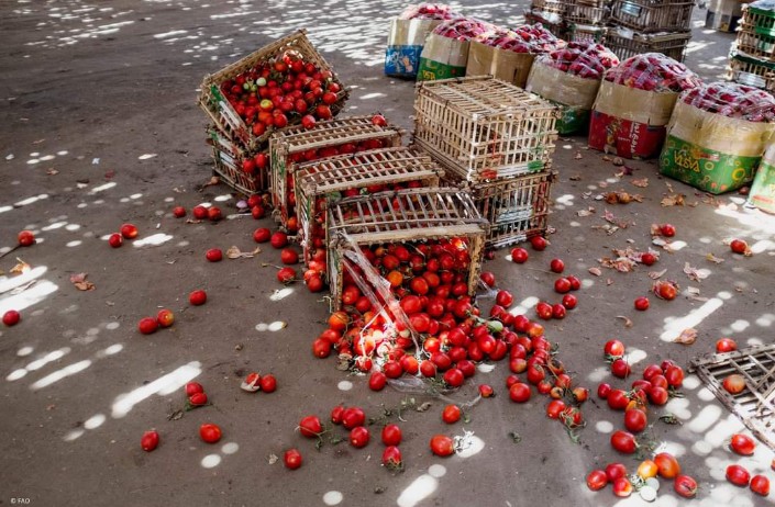 It's #QuizTime - What percentage of the world’s food is lost in the supply chain from post-harvest prior to retail? 🍊🍐🍅

a. 2.2%
b. 6.3%
c. 13.2%
d. 25.6%

Let us know in the comments 👇