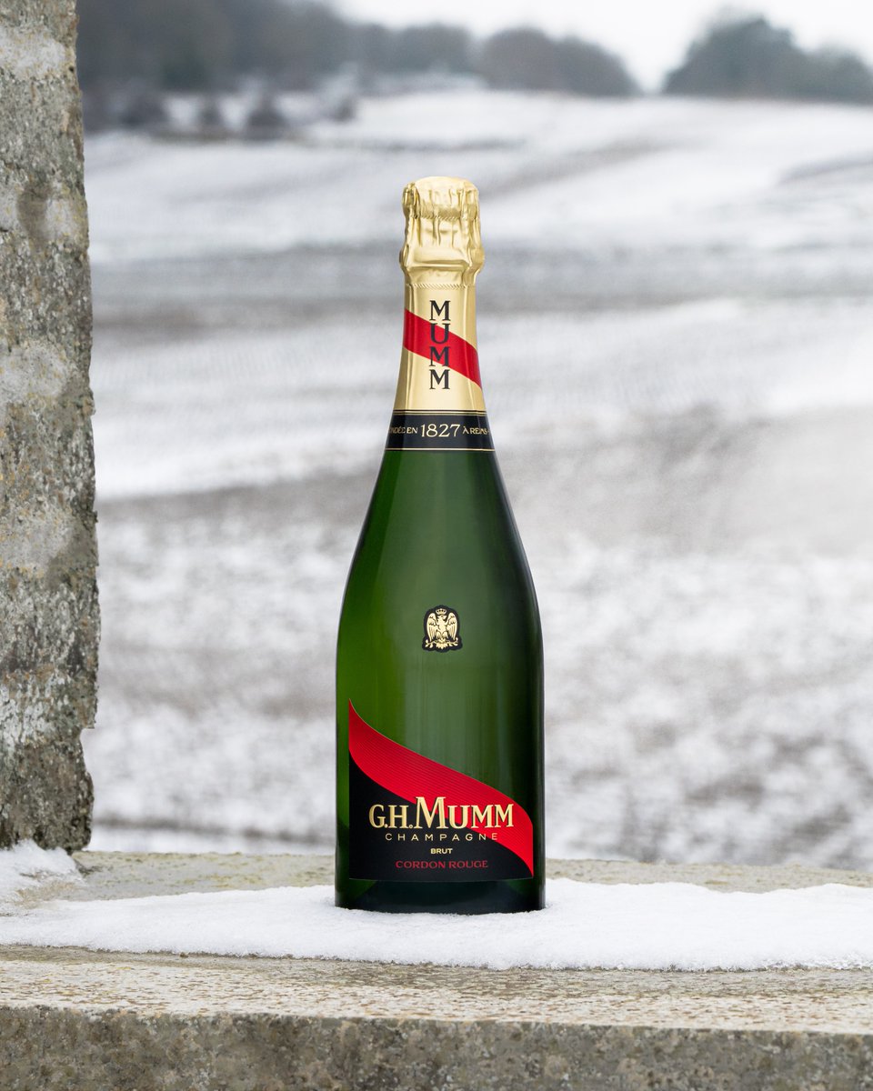 Celebrate the season with Mumm Cordon Rouge – a sparkling companion for winter's chill.

#MaisonMumm #Winter #ChampagneMoments #ChampagneLovers #MummCordonRouge
#PinotNoir

PLEASE DRINK RESPONSIBLY

Please only share our posts with those who are of legal drinking age.