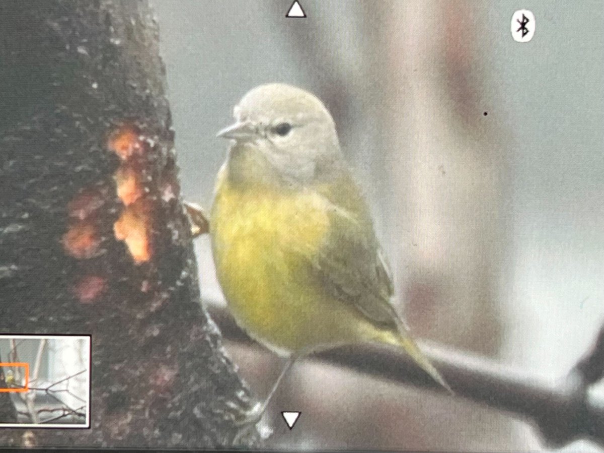 Brennan Moore tweet media