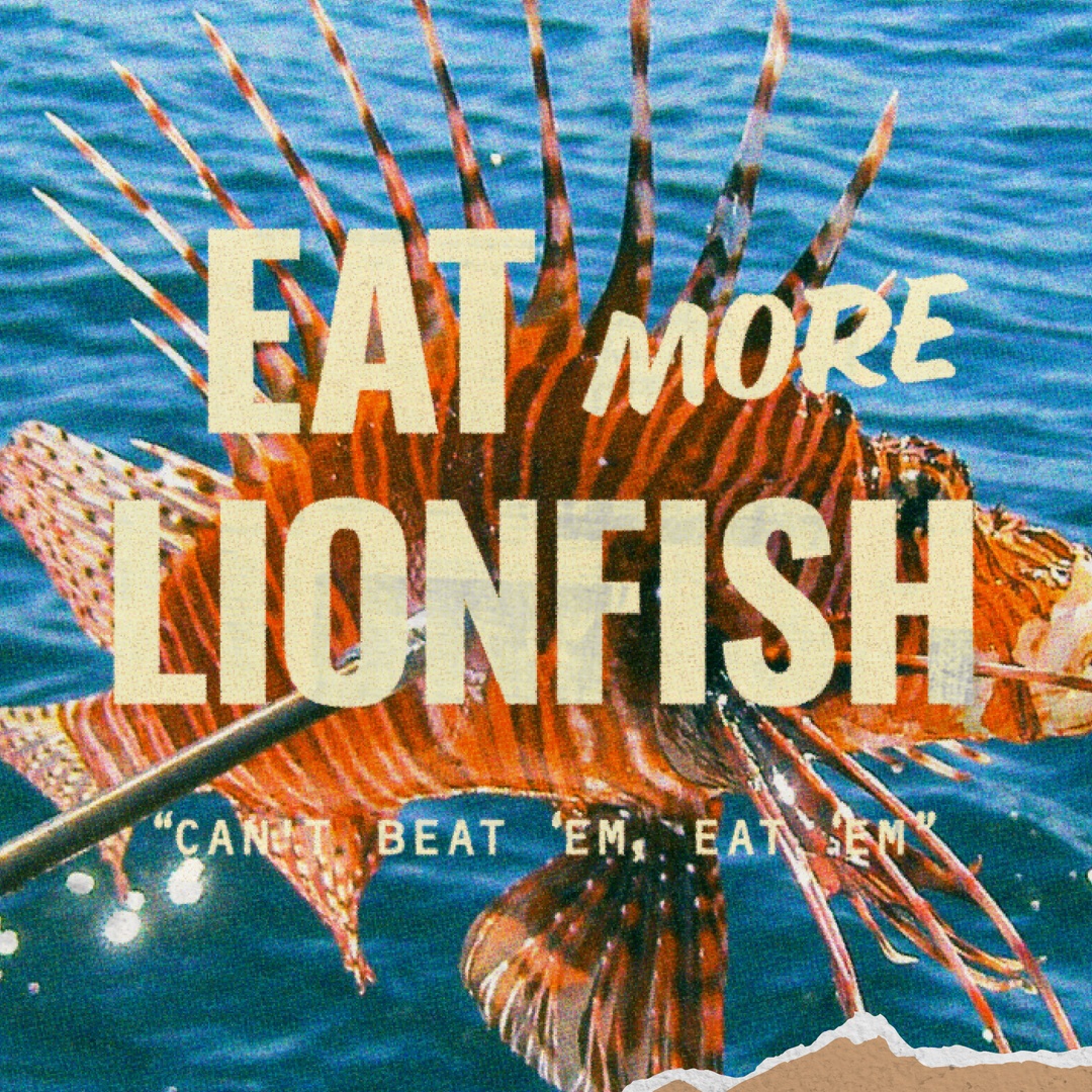 Alabama Seafood tweet media