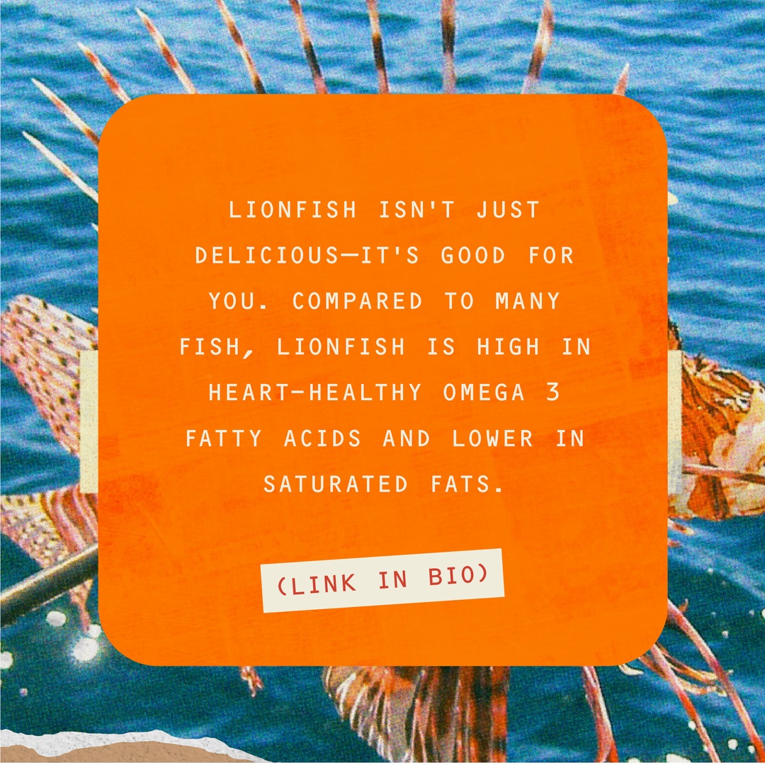 Alabama Seafood tweet media