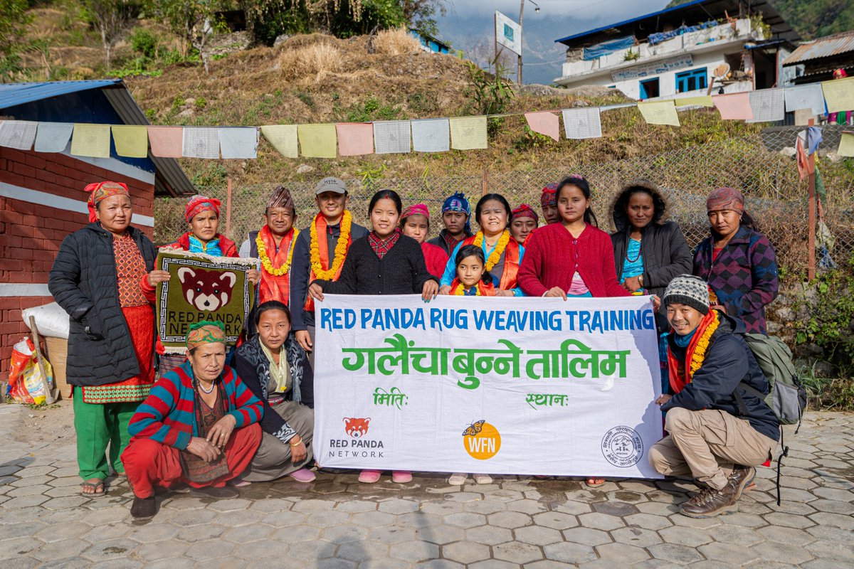 WhitleyAwards's tweet photo. 📣Good news from the field! 📣

#WhitleyAward winner Sonam Lama is empowering local women in Nepal, where they have recently completed a month-long rug weaving course. 

The rugs produced during this training feature red pandas and will help spread the message of conservation! 🧶 https://t.co/KtCsYUx74F