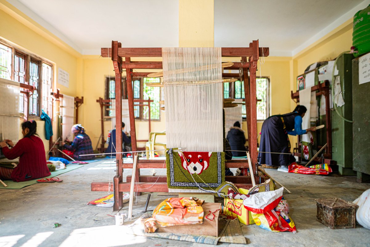 WhitleyAwards's tweet photo. 📣Good news from the field! 📣

#WhitleyAward winner Sonam Lama is empowering local women in Nepal, where they have recently completed a month-long rug weaving course. 

The rugs produced during this training feature red pandas and will help spread the message of conservation! 🧶 https://t.co/KtCsYUx74F