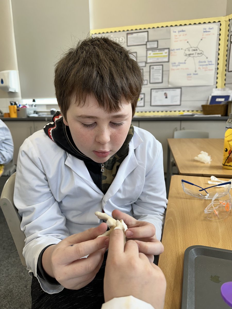 StDominicCofE's tweet photo. We have had an amazing day learning about climate change and its impact on our oceans with NMA. 
#BringCuriosity #BringCreativty https://t.co/ISaxyBhqUm