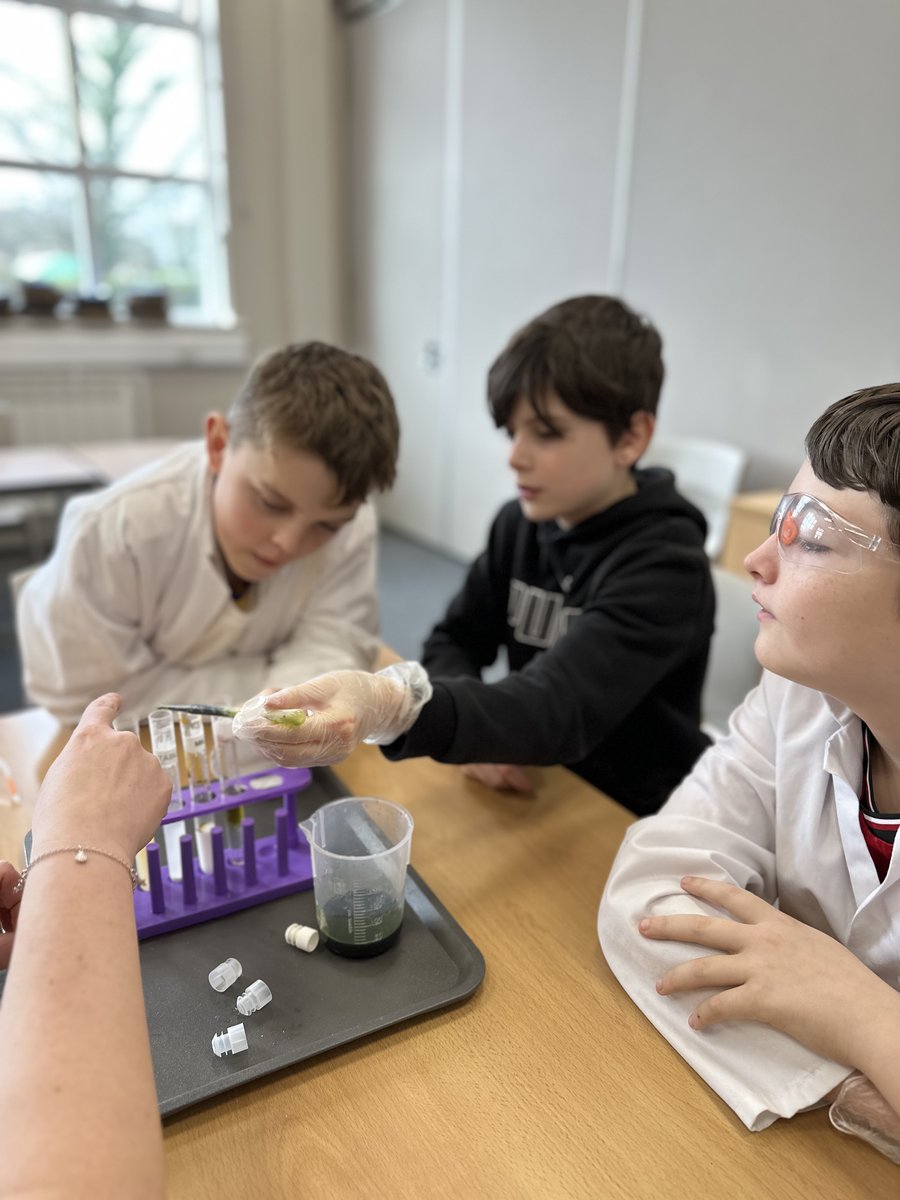 StDominicCofE's tweet photo. We have had an amazing day learning about climate change and its impact on our oceans with NMA. 
#BringCuriosity #BringCreativty https://t.co/ISaxyBhqUm