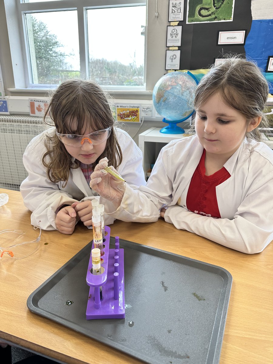 StDominicCofE's tweet photo. We have had an amazing day learning about climate change and its impact on our oceans with NMA. 
#BringCuriosity #BringCreativty https://t.co/ISaxyBhqUm