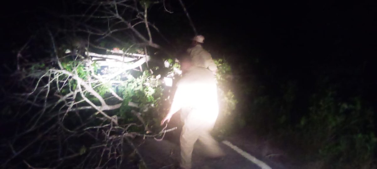 FireService_ANP's tweet photo. On 02.02.2024, Fire Fighters #FSCarNicobar swung into action on receipt of a call on falling of tree on the main road at Lapathy. By using DM equipments, the tree was removed promptly.
Normal flow of traffic was ensured immediately. https://t.co/AKzPynNFOS