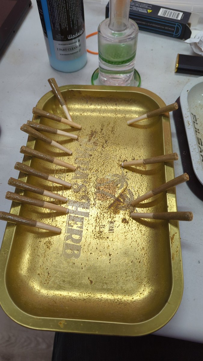 Mattcutter's tweet photo. It's Fried-ay! Just painted some Pre-rolls with distillet and dusted them with Keif. Happy Groundhog Day!!!! https://t.co/HntoPtke8G