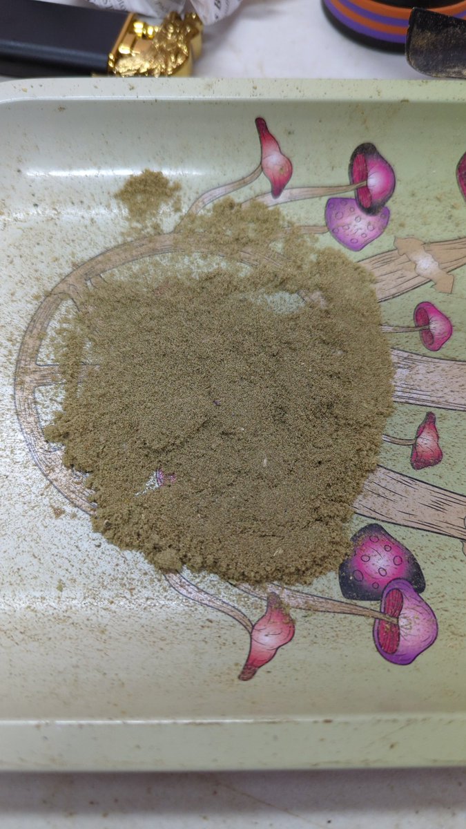 Mattcutter's tweet photo. It's Fried-ay! Just painted some Pre-rolls with distillet and dusted them with Keif. Happy Groundhog Day!!!! https://t.co/HntoPtke8G