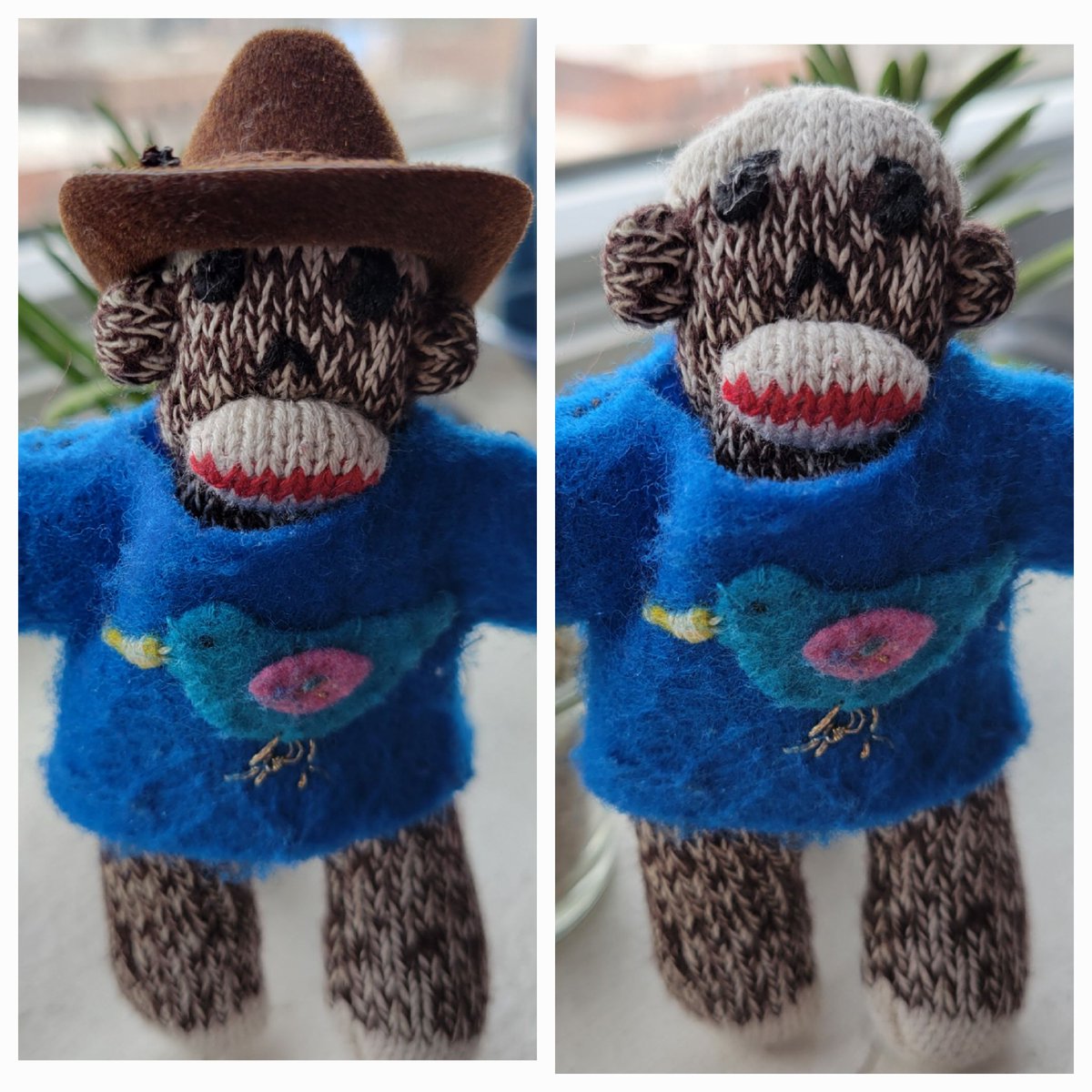 TM2🐒 🛫🚊🚗 tweet media