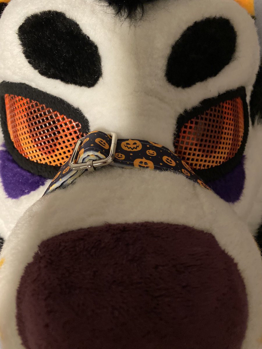 Hallow (@hallowjackal) on Twitter photo 