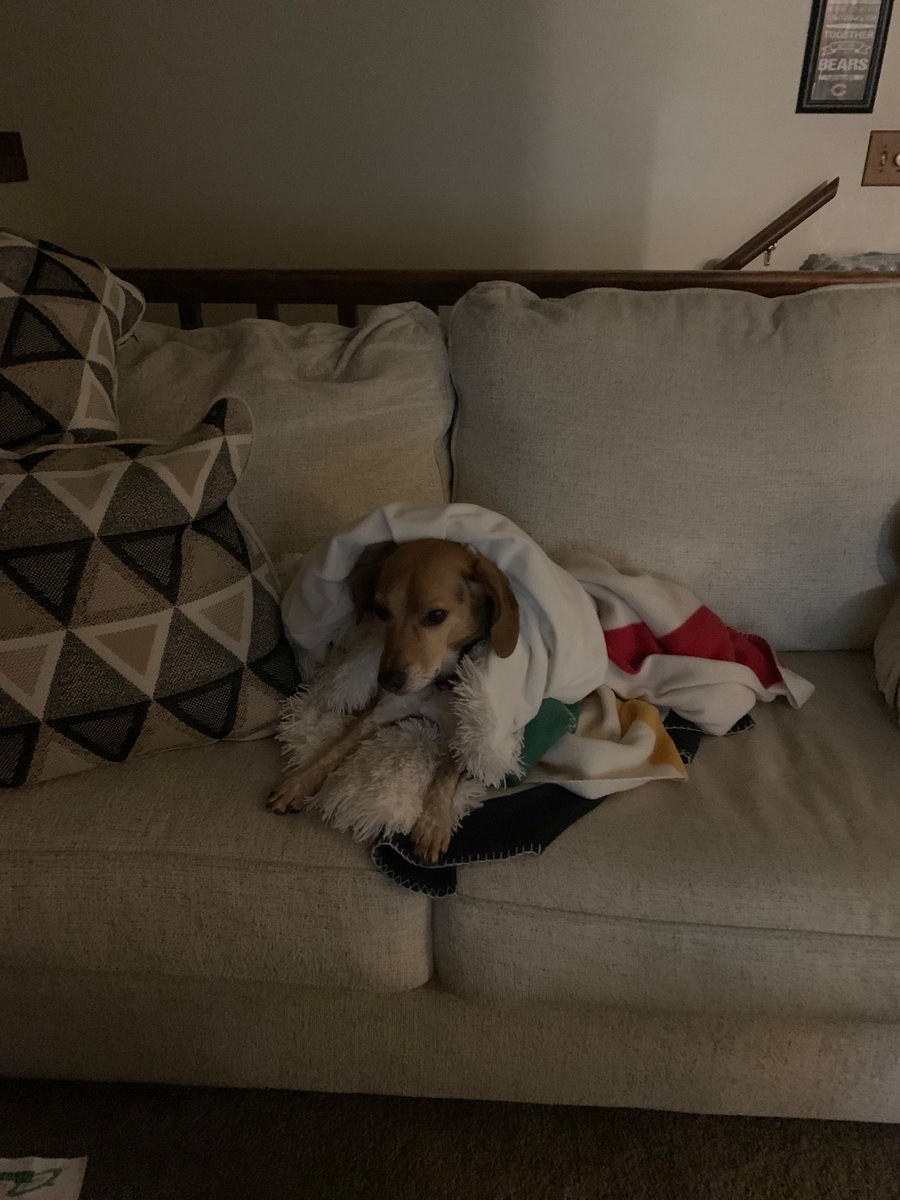 Madduxfan31's tweet image. More pics of my baby 🐾🐾🐾🦫
Happy Groundhog Day!!
Early Spring 🌺💐🌸🌹🌼🌻🌷
#mycrew💙❤️💙