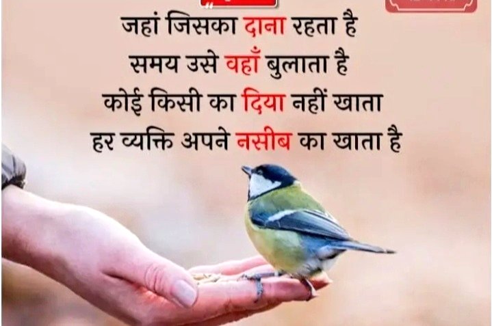 🍂🍃दुनियाँ में एक ऐसी जगह भी भगवान को बनानी चाहिए कि ज़ब इंसान ज़िन्दगी से ऊब जाये तो एकांत में चला जाये ख़ासकर महिलाओ के लिए............🍂🍁🍁

<a href="/AmitShah/">Amit Shah</a> <a href="/bhaktidham_/">Premanand ji Maharaj ᴾᵃʳᵒᵈʸ</a> @iamkishorij <a href="/INamoAgain/">Narendra Modi ᴾᵃʳᵒᵈʸ</a>