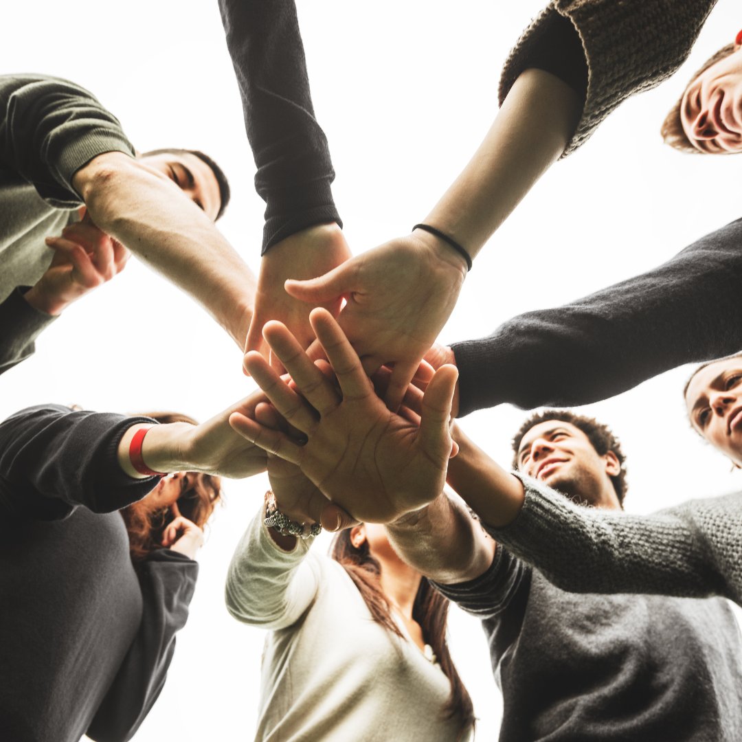 LionProject tweet media