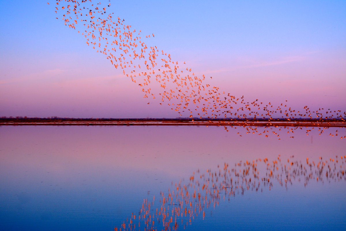 USFWS's tweet photo. "I guess I'll just be over here supplying y'all with clean drinking water, protecting your houses from flooding and providing habitat for all the fish you like to catch!" - a bitter wetland

Put some respect on their name. Wetlands are vital.

#WWD2024 #WorldWetlandsDay https://t.co/JfzNIv5EPB