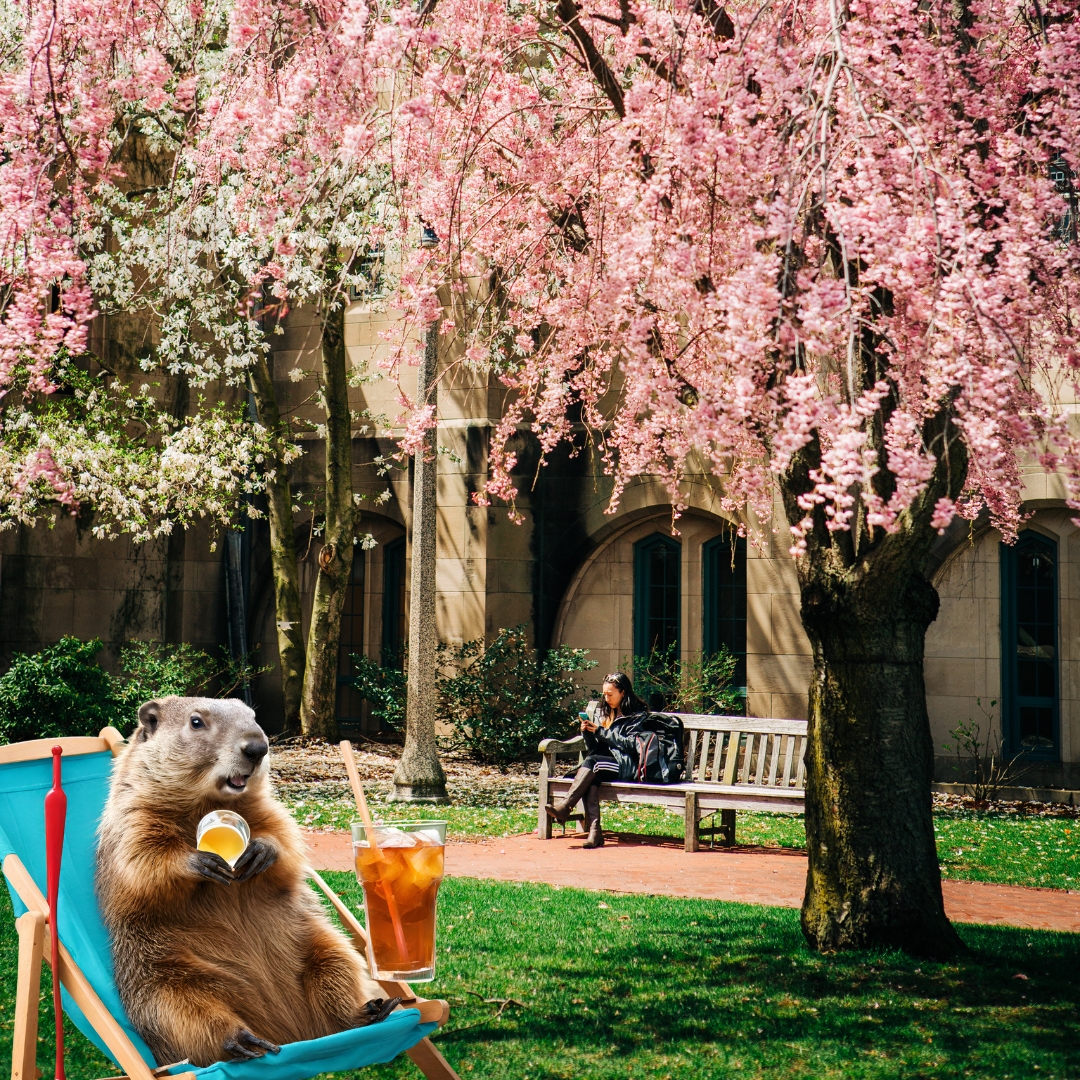 Boston University tweet media